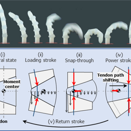 Professor Kyu-Jin Cho's Research Team at Seoul National University Applies the Principles of Mantis Shrimp and Fleas to Create Soft Robots with Powerful Movements