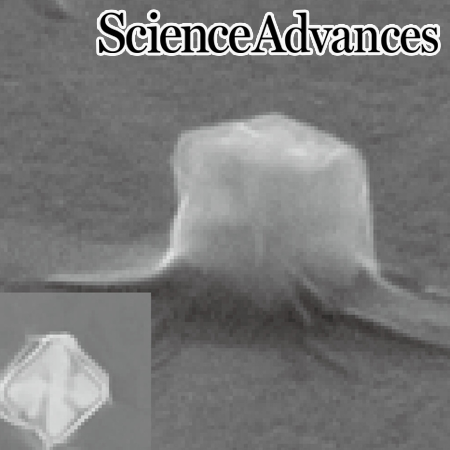 Spin angular momentum-encoded single-photon emitters in a chiral nanoparticle-coupled WSe2 monolayer