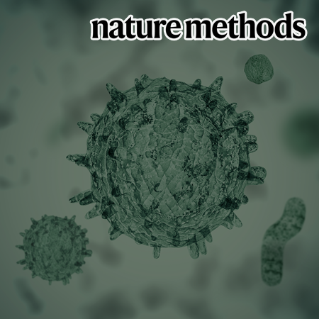 Metabuli: sensitive and specific metagenomic classification via joint analysis of amino acid and DNA