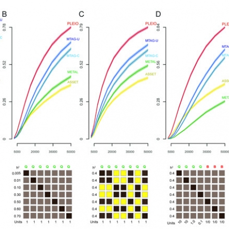 PLEIO: a method to map and interpret pleiotropic loci with GWAS summary statistics