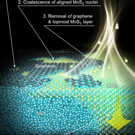 Professor Gwan-Hyoung Lee's Research Team at Seoul National University Develops a New Synthesis Technology of Single Crystal 2D Semiconductors, “Hypotaxy”, to Enhance the Commercialization of Next-Generation 2D Semiconductors