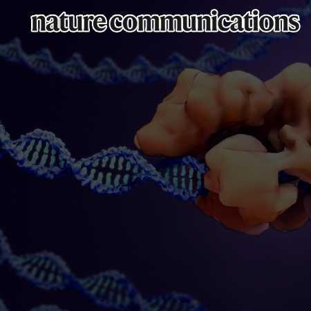 Spatial epitranscriptomics reveals A-to-I editome specific to cancer stem cell microniches