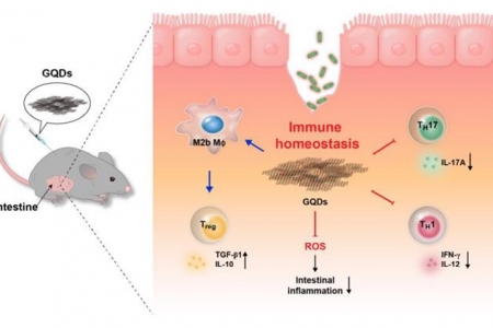 Graphene quantum dots as anti-inflammatory therapy for colitis