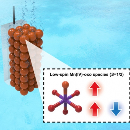 Spectroscopic capture of a low-spin Mn(IV)-oxo species in Ni–Mn3O4 nanoparticles during water oxidation catalysis