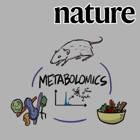 Host immunomodulatory lipids created by symbionts from dietary amino acids