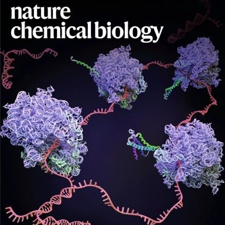 Synthetic protein quality control to enhance full-length translation in bacteria