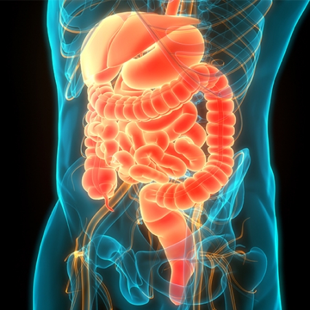 Emotional well-being and gut microbiome profiles by enterotype