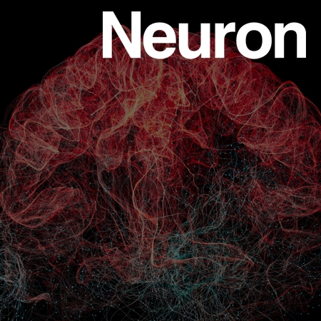 A forebrain neural substrate for behavioral thermoregulation