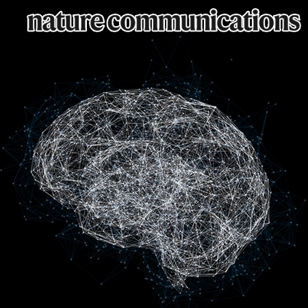 Primate ventral striatum maintains neural representations of the value of previously rewarded objects for habitual seeking