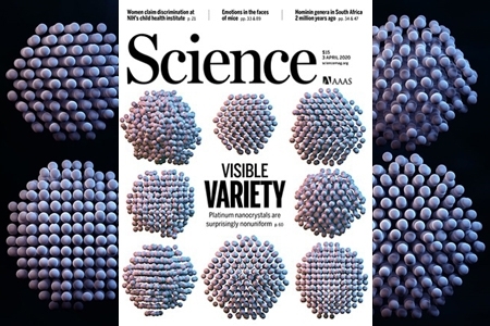 Critical differences in 3D atomic structure of individual ligand-protected nanocrystals in solution