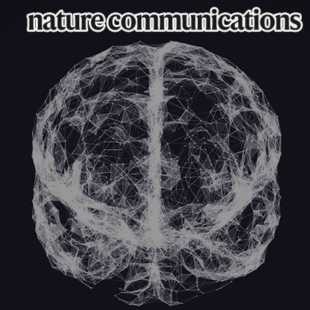 Identification of Neural Circuits for Efficient Information Processing through Core Information Extraction in the Primate Basal Ganglia