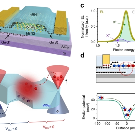 Electrically Confined Electroluminescence of Neutral Excitons in WSe2 Light-Emitting Transistors