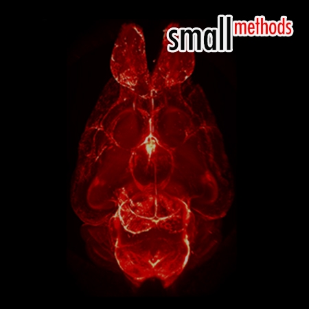 Sodium Cholate-Based Active Delipidation for Rapid and Efficient Clearing and Immunostaining of Deep Biological Samples