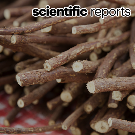 Contributions of interspecific hybrids to genetic variability in <i>Glycyrrhiza uralensis</i> and <i>G. glabra</i>