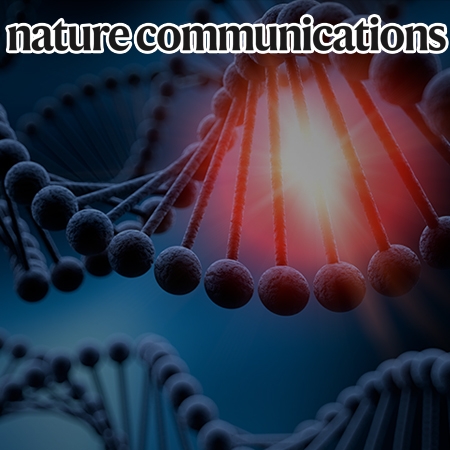 L1 retrotransposons exploit RNA m6A modification as an evolutionary driving force