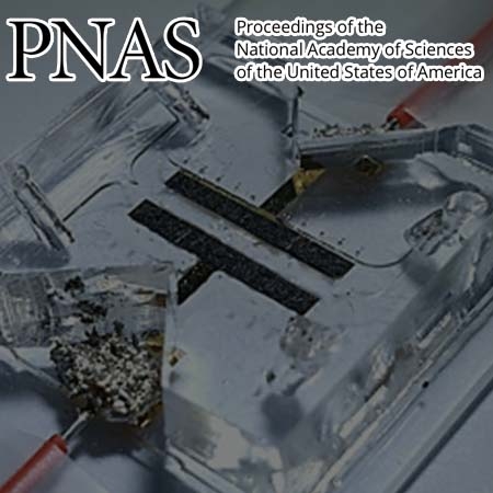 In operando visualization of redox flow battery in membrane-free microfluidic platform