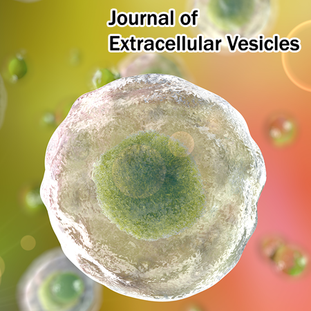 Extracellular Vesicle-Mediated Delivery of 20S Proteasomes Enhances Tau Degradation in Recipient Cells