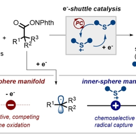 Cooperative Organosulfur/Photoredox Catalysis Enables Radical-Polar Crossover C(sp<sup>3</sup>)–N Coupling via Inner-Sphere Electron Shuttling