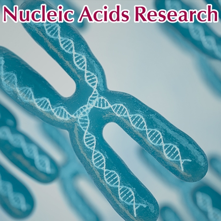 Long-read sequencing and de novo genome assemblies reveal complex chromosome end structures caused by telomere dysfunction at the single nucleotide level