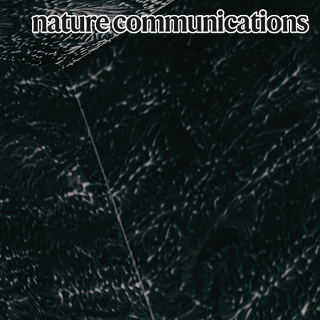 Slow oxidation of magnetite nanoparticles elucidates the limits of the Verwey transition