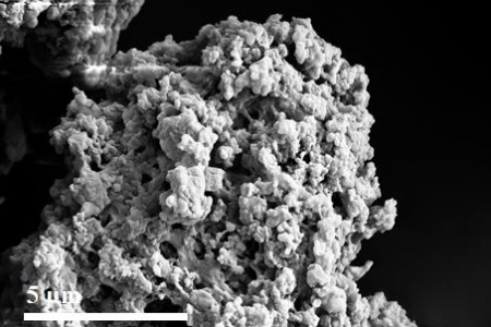 Immunostimulation by starch hydrogel-based oral vaccine using formalin-killed cells against edwardsiellosis in Japanese eel, Anguilla japonica