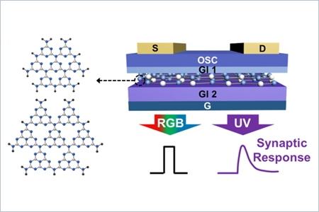 Retina-inspired photo-sensitive neuromorphic electronics