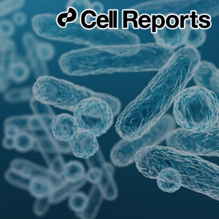 Synthetic biosensor accelerates evolution by rewiring carbon metabolism toward a specific metabolite