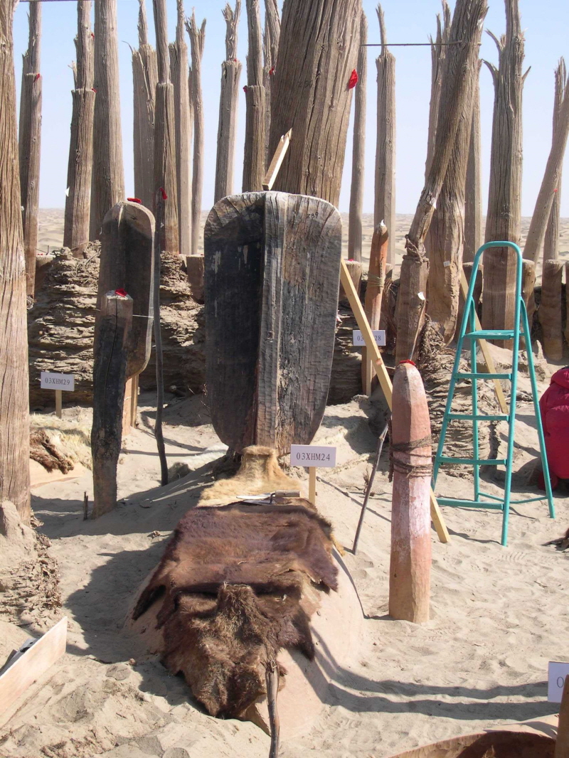 Typical Xiaohe boat coffin with oar. The coffin is covered with a cattle hide.<br>© Wenying Li, Xinjiang Institute of Cultural Relics and Archaeology.