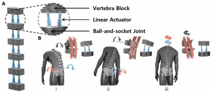 ▲ Multi-directional back support and motion assist mechanism of the BBEX