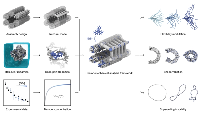 Figure 1. Conceptual Diagram of the Predictive Technology for Mechanochemical Changes in DNA Nanostructures