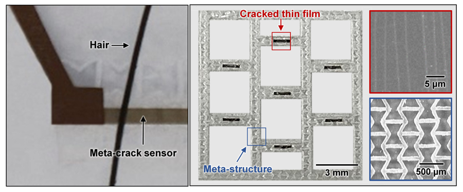 ▲ Figure 1. (Left) Hypersensitive strain sensor based on the integration of meta-structures and cracks. (Right) Thin film with cracks and meta-structures composing the meta-crack sensor.