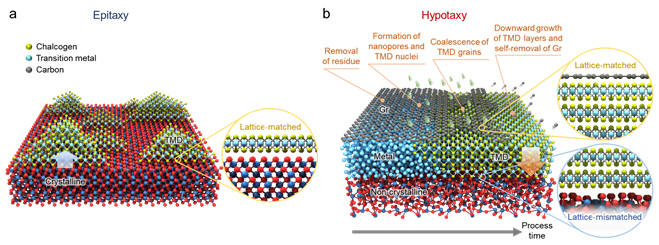 ▲ Figure 1: Schematic comparison between TMD growth via epitaxy and Hypotaxy.