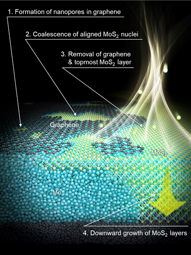 ▲ Figure 2: Schematic representation of TMD growth progress over time using the Hypotaxy method.