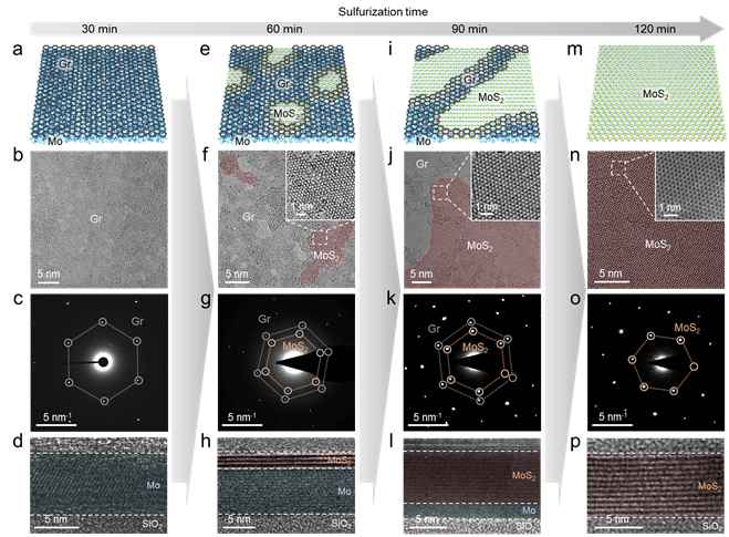 ▲ Figure 3: (From top to bottom) Schematic representation of TMD growth progress over time, transmission electron microscopy (TEM) images, diffraction patterns, and cross-sectional TEM images of TMD growth using Hypotaxy.