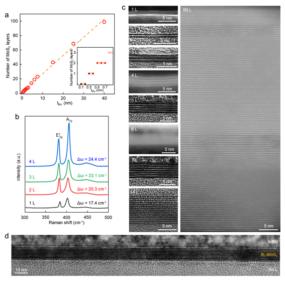 ▲ Figure 4: Precise control of TMD layer thickness using Hypotaxy by adjusting the thickness of the deposited transition metal.