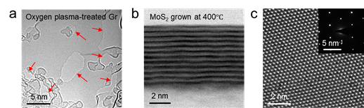 ▲ Figure 7: Nanopore-formed graphene via oxygen plasma and MoS2 synthesized at 400°C using this method.