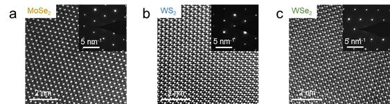 ▲ Figure 8: TEM images and diffraction patterns of Hypotaxy-synthesized MoSe2, WS2, and WSe2.