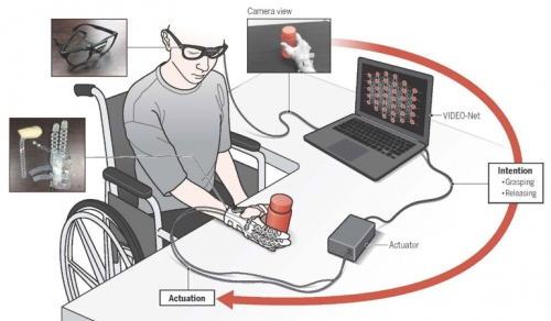 Eyes are faster than hands: Vision-based machine learning for soft wearable robot enables disabled person to naturally grasp objects