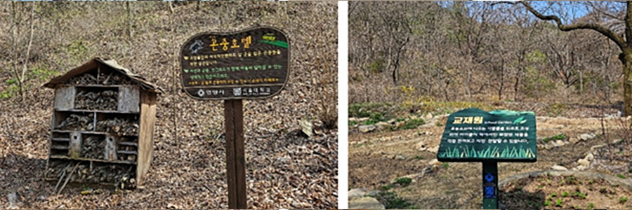 Insect hotels for ecosystem protection (left), Educational materials showcasing plants from textbooks (right)