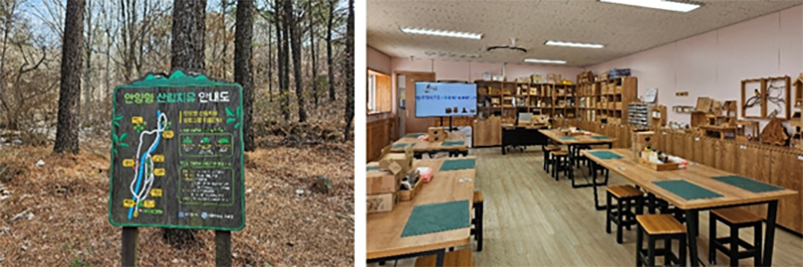 Forest Therapy Guide at Gwanak Arboretum (left), Woodworking Experience Area (right)