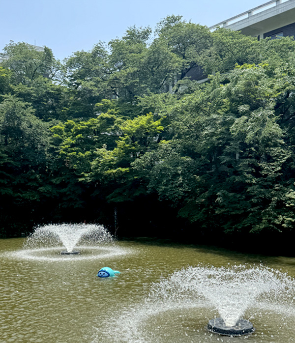 Eco-Friendly Fountain “PaDO”
