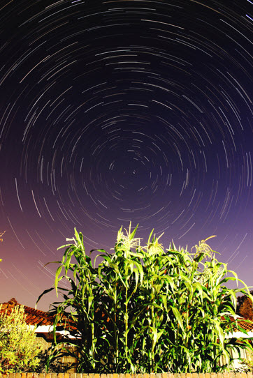 Flowing Poetry (AHN Soo Yeon) - Taken in Gwacheon, the photo (synthesis of 230 shots, 15 second gaps) shows common concentric circular star streaks, representative of the northern hemisphere.