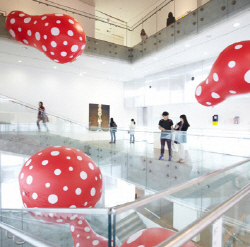 Kusama exhibition at SNU MoA