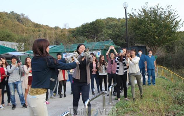 SNU Veterinary Medicine students in short-term training on wild animal treatment