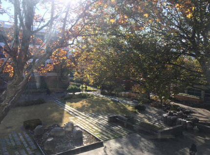 View from the group study area in Shinyang Building