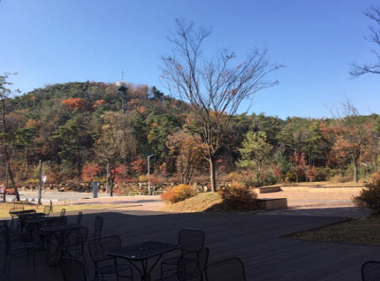 View from Café Gran porch